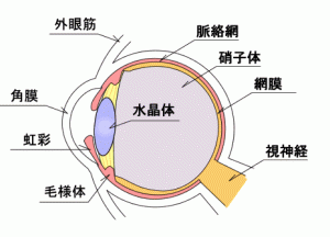 eye8