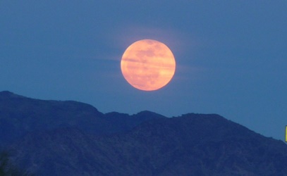 full-moon-176751_1280