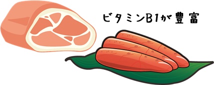 030029ビタミンB1