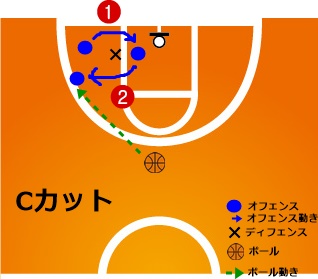 087559ワンC
