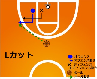 087559ワンL