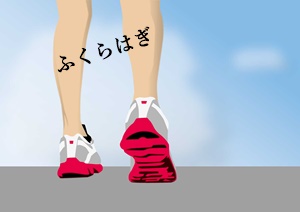 317462ふくらはぎ